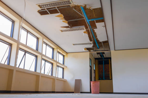 Best Local water damage restoration  in Watervliet, NY