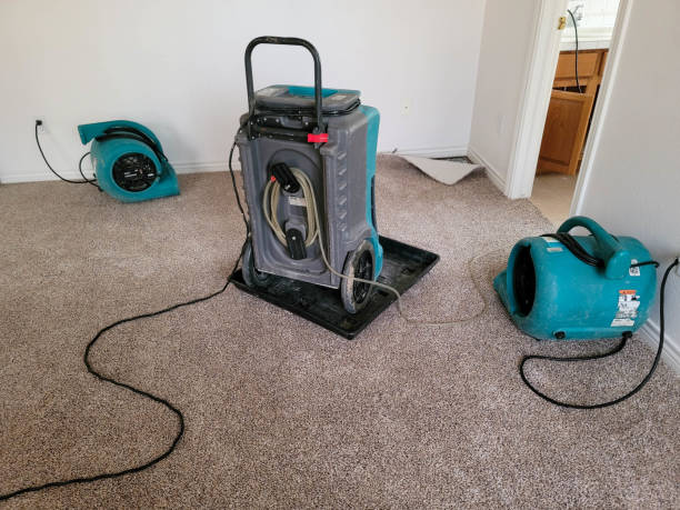 Best Commercial water damage restoration  in Watervliet, NY