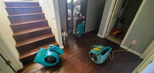 Best Basement water damage restoration  in Watervliet, NY
