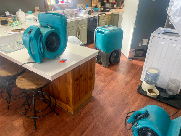 Best Water damage cleanup near me  in Watervliet, NY