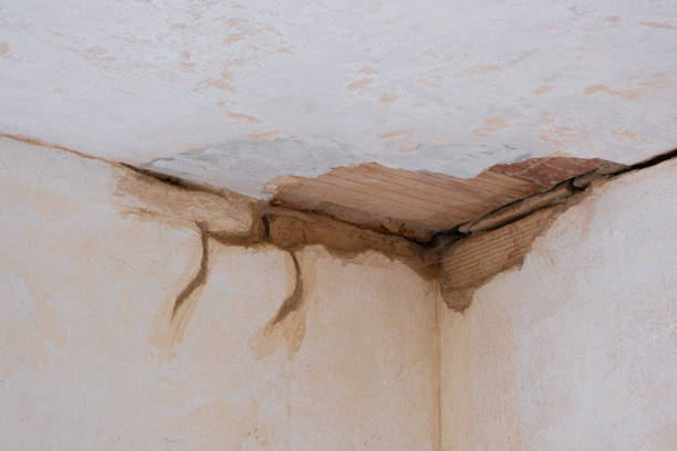Best Professional water damage repair  in Watervliet, NY