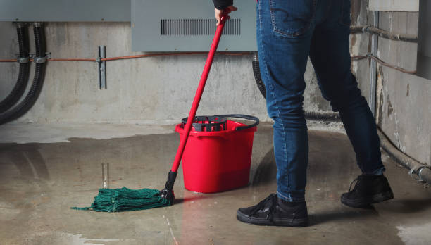 Best Flooded house restoration  in Watervliet, NY