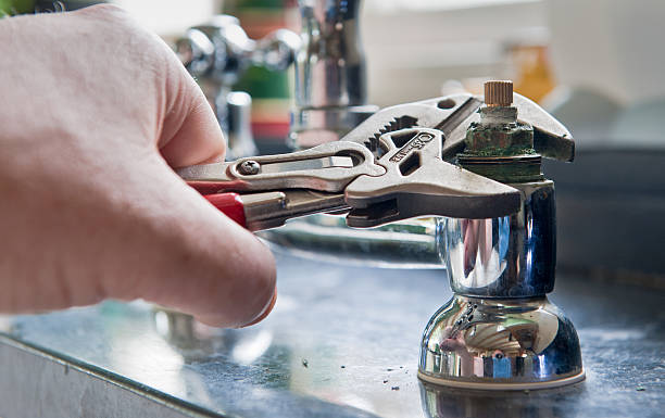 Best Mold removal after water damage  in Watervliet, NY