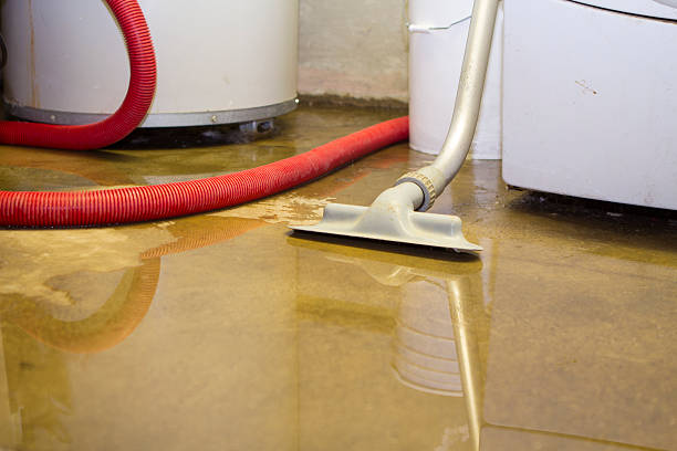 Best Flood restoration services  in Watervliet, NY