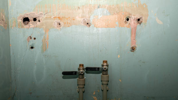 Best Water damage contractors near me  in Watervliet, NY