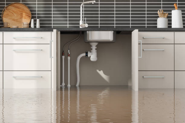 Best Water damage restoration near me  in Watervliet, NY