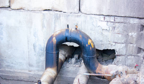 Best Professional water damage repair  in Watervliet, NY